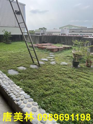 桃園楊梅廠房-3