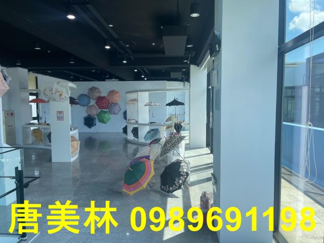 桃園大園廠房-3