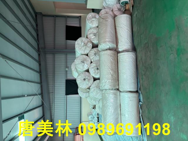 桃園龍潭廠房-9